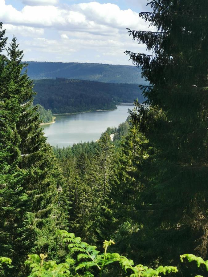 Naehe Nationalpark Apartment Baiersbronn Bagian luar foto