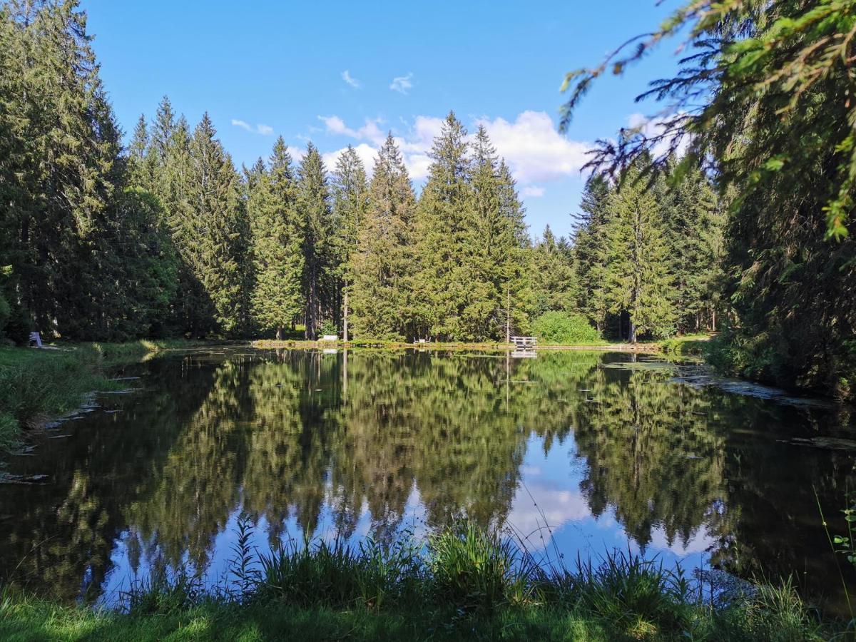 Naehe Nationalpark Apartment Baiersbronn Bagian luar foto