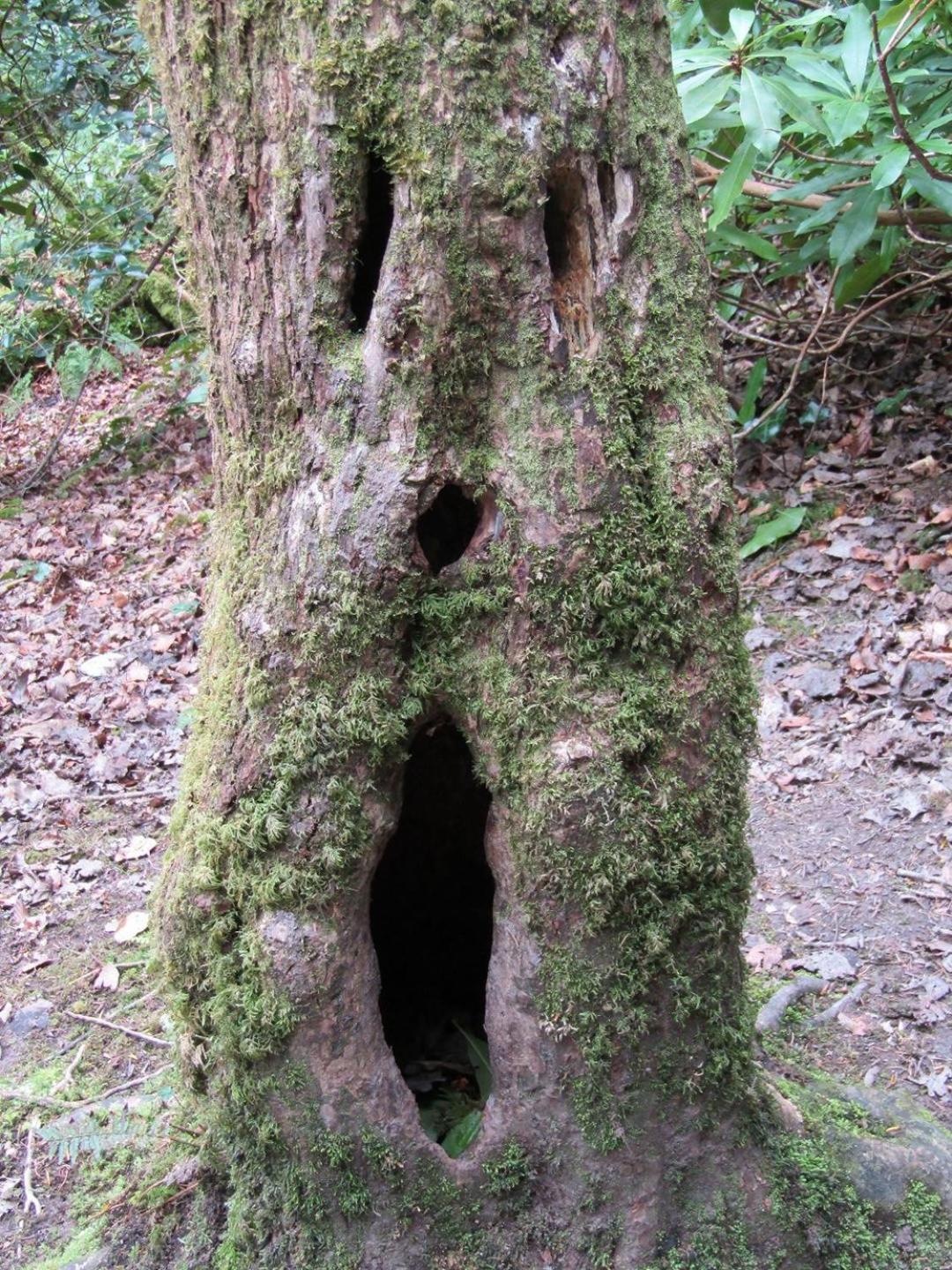 Naehe Nationalpark Apartment Baiersbronn Bagian luar foto