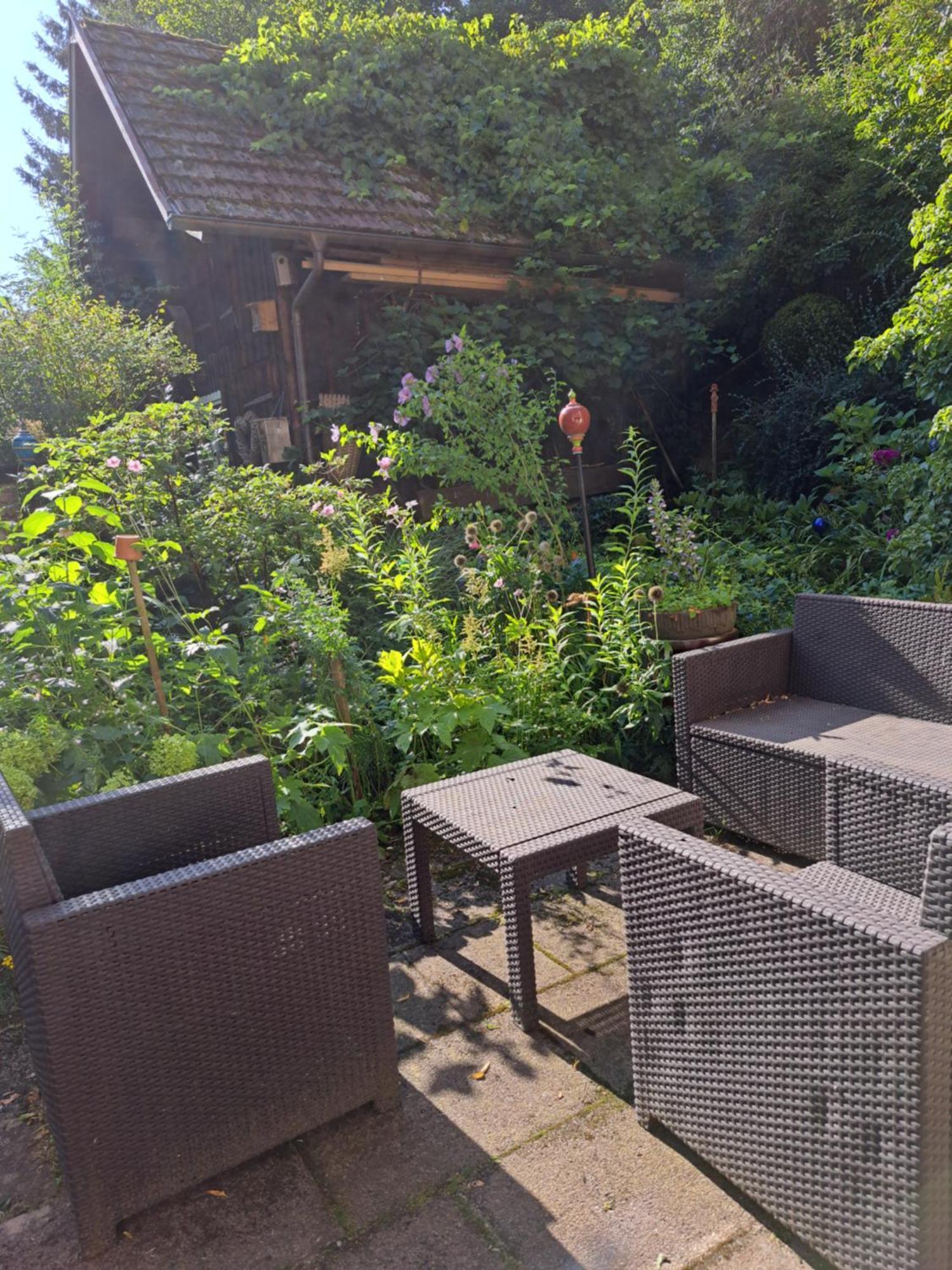 Naehe Nationalpark Apartment Baiersbronn Bagian luar foto