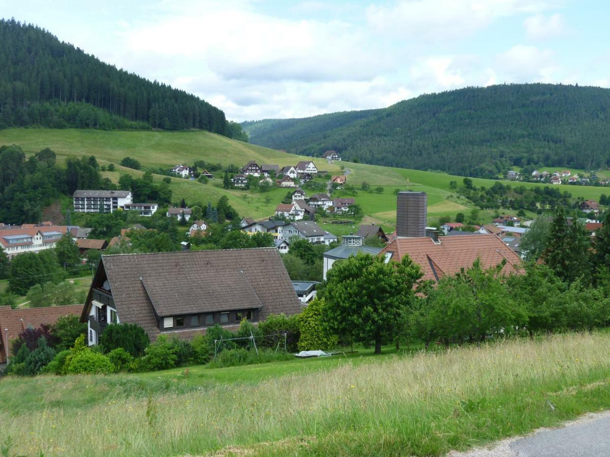 Naehe Nationalpark Apartment Baiersbronn Bagian luar foto