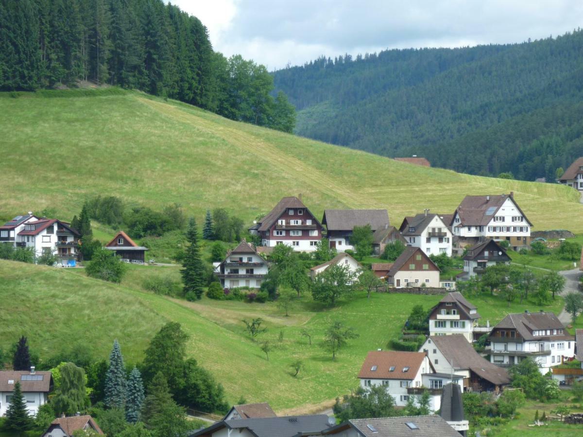 Naehe Nationalpark Apartment Baiersbronn Bagian luar foto