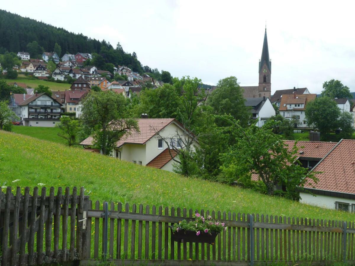 Naehe Nationalpark Apartment Baiersbronn Bagian luar foto