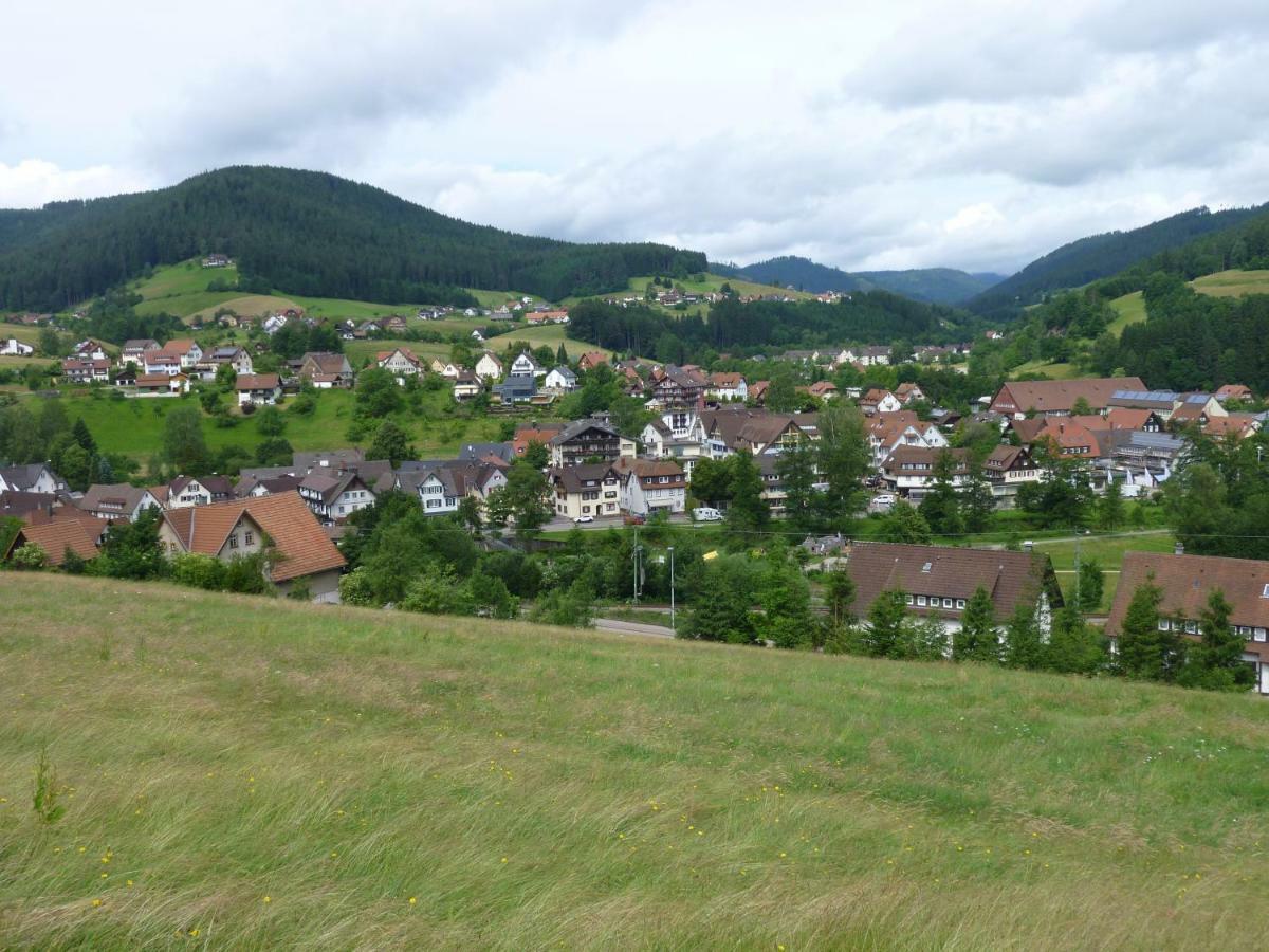 Naehe Nationalpark Apartment Baiersbronn Bagian luar foto